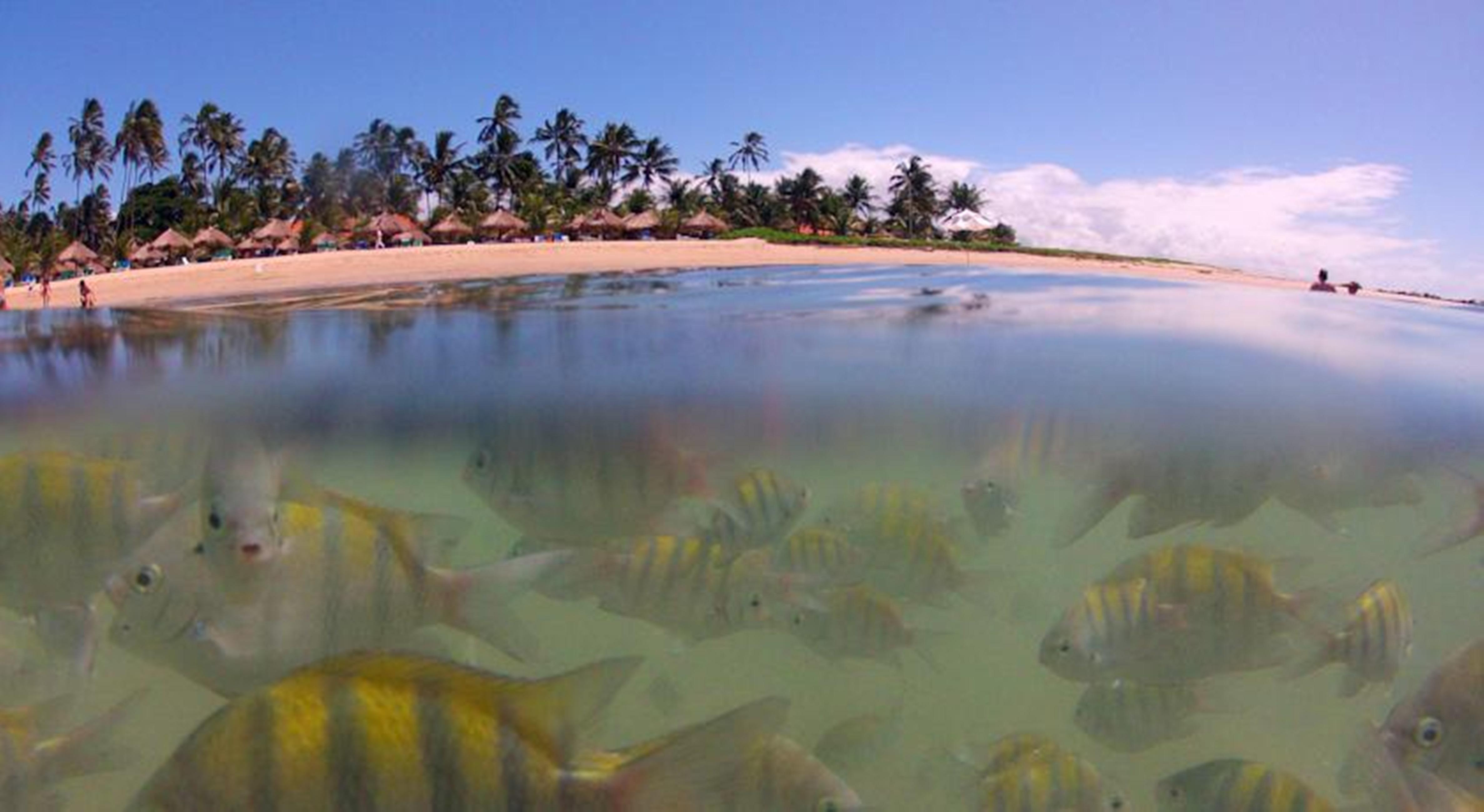 Serrambi Resort Pôrto das Galinhas Einrichtungen foto